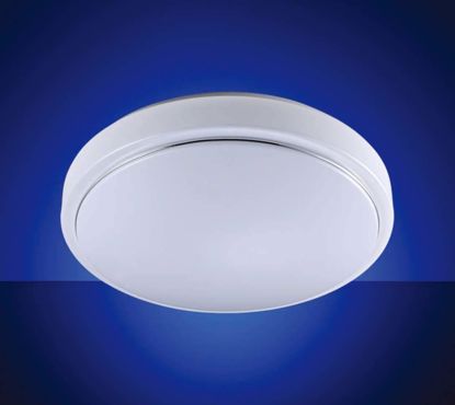 Picture of IP44 LED Lighting Regular Type Smart Ceiling Lamp