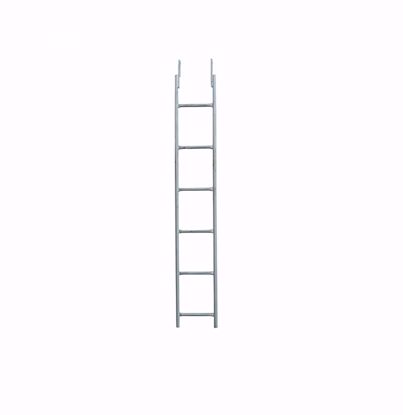 Picture of Monkey Ladder