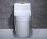 Picture of ADTO  Ceramic Toilet One PieceToilet Middle East Country Hot Sale Body Metal Frame Button Mark Water
